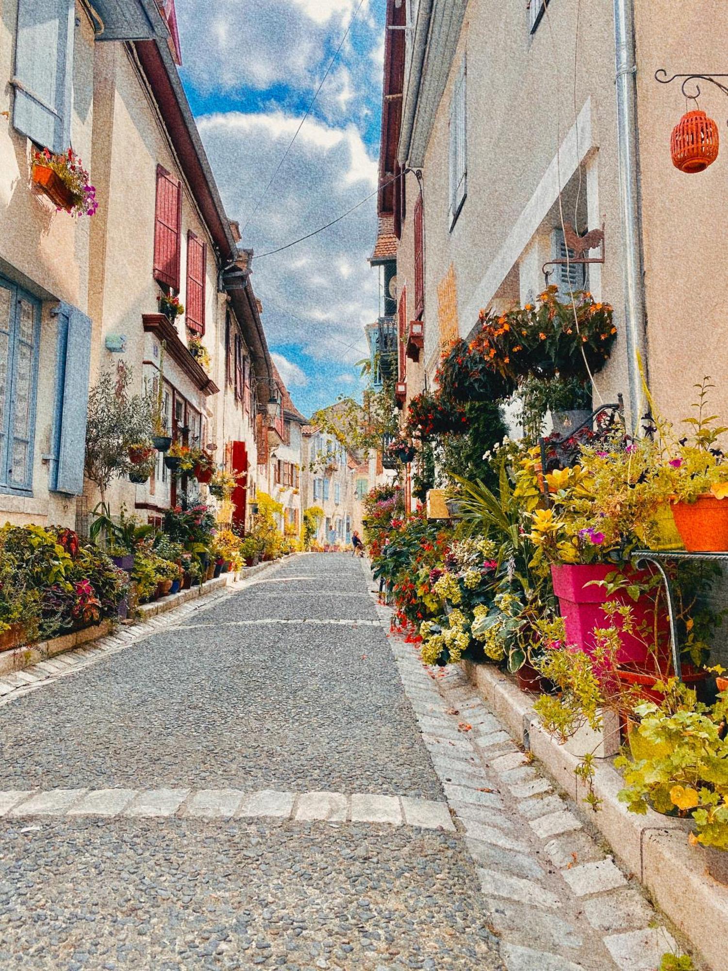 Agreable Petit Gite Avec Piscine Et Jardinet Salies-de-Béarn Exteriér fotografie