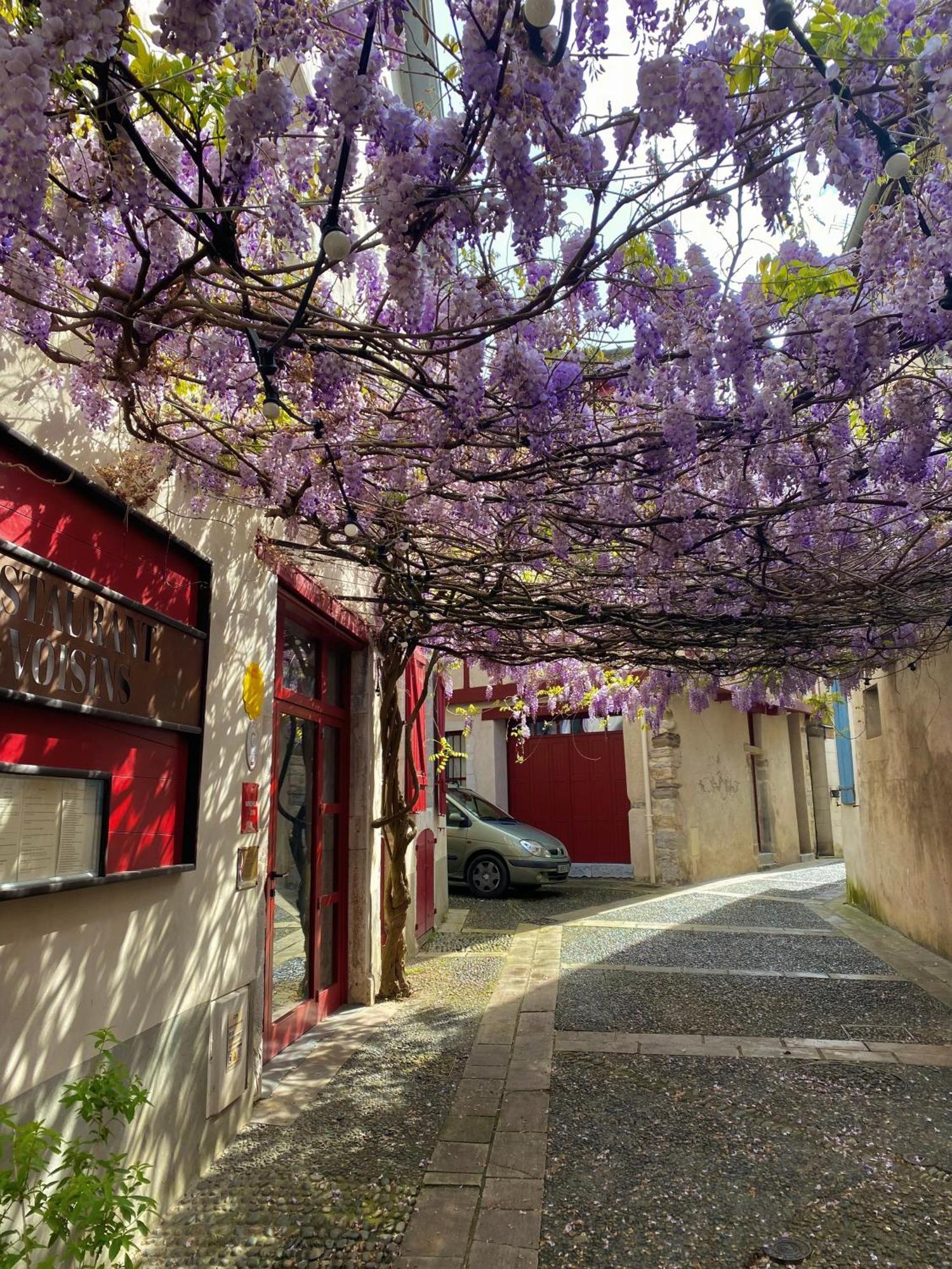 Agreable Petit Gite Avec Piscine Et Jardinet Salies-de-Béarn Exteriér fotografie